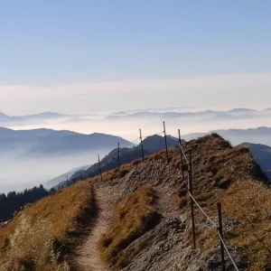 20151027_143834.jpg