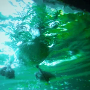 DSCN5310.JPG