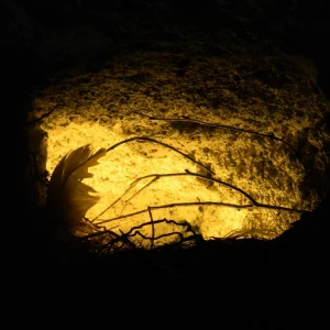 DSCN5326.JPG