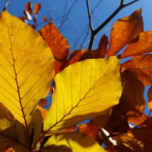 20151108_124535[1].jpg