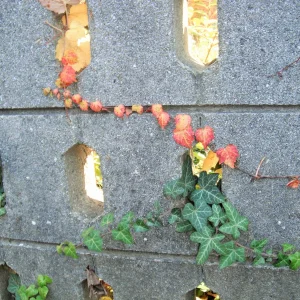 DSCF7771.JPG