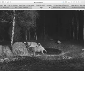 Bildschirmfoto 2016-02-08 um 17.24.27.png