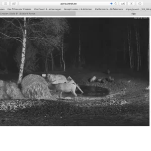 Bildschirmfoto 2016-02-08 um 17.27.30.png