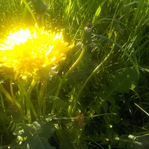 DSCN0328.JPG