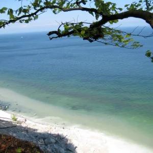 Rügen Mai 2008 249.jpg