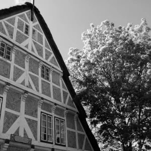 Altes Land 2.5.2010 033 (2).jpg
