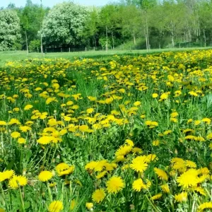 20160508_155711.jpg