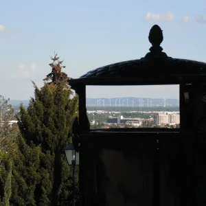 DSCF8300.JPG