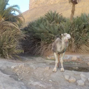 DSCN0123.JPG