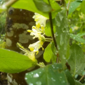 DSCN0553.JPG