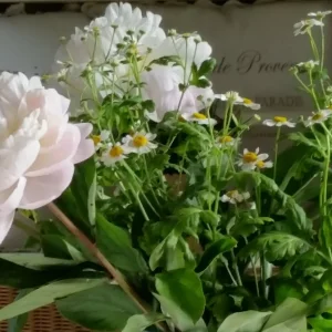 20160515_091221[1].jpg