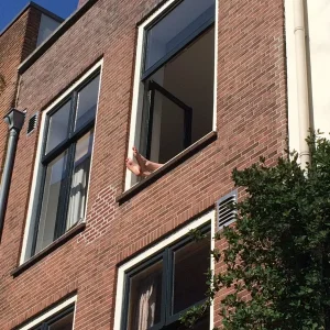 image.jpeg