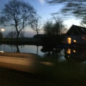 image.jpeg