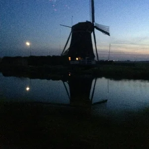 image.jpeg