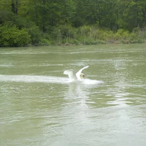 DSCN0598.JPG