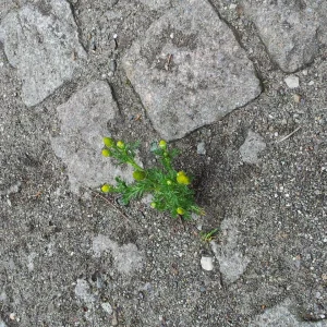 20160516_123431_resize.jpg