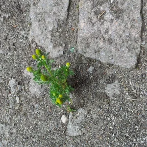 20160516_123449_resize.jpg