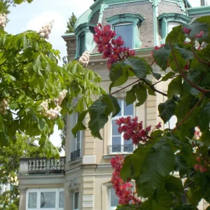 DSCN0644.JPG