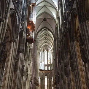 image.jpeg