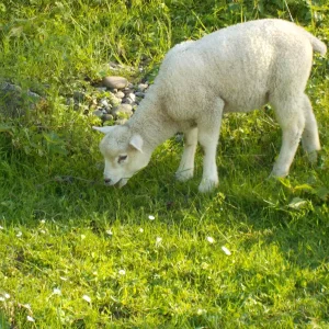 DSCN0937.JPG