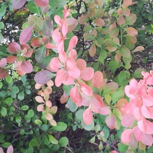 20160516_122751_resize.jpg