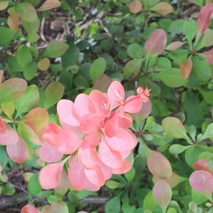 20160516_122735_resize.jpg