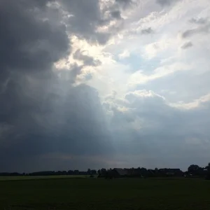 image.jpeg