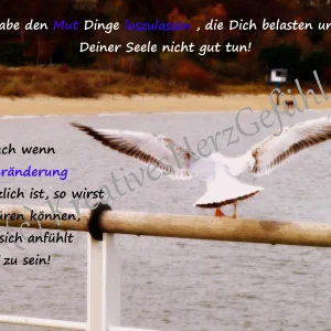 Frei1-W.jpg