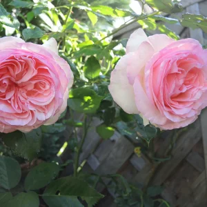 DSCN1645.JPG