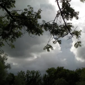 DSCN1017.JPG