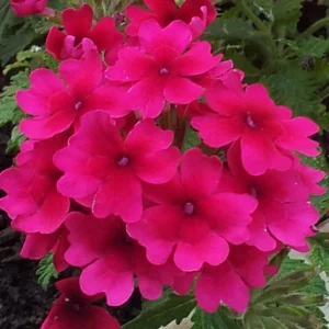 20160603_115645.jpg