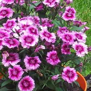 20160603_115722.jpg
