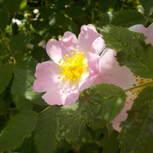 DSCN1143.JPG
