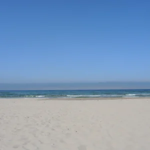 DSCN1431.JPG