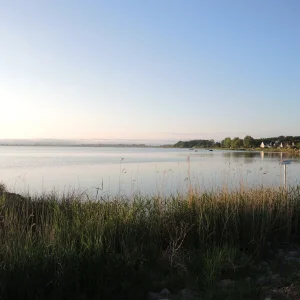 DSCN1478.JPG