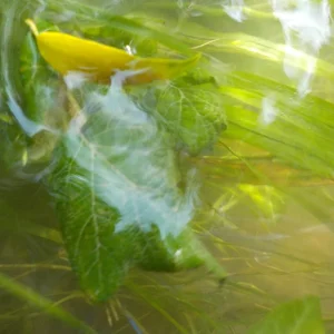 DSCN1191.JPG
