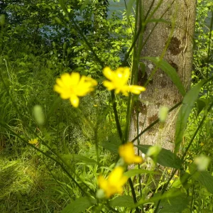 DSCN1264.JPG