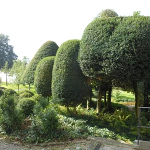 A0043R.JPG