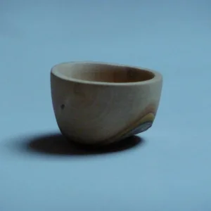 P1010535.JPG