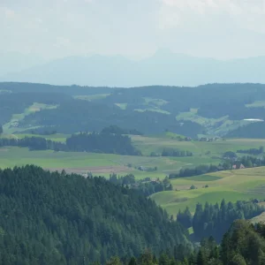 P1010544.JPG