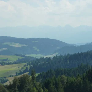 P1010545.JPG