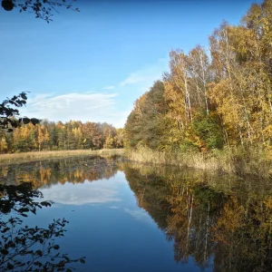 Herbstsee.jpg