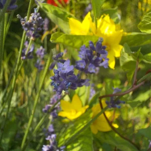 DSCN1492.JPG