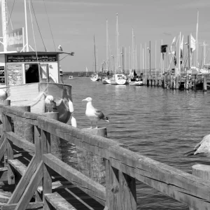 Warnemünde 20.05.2012 072.jpg