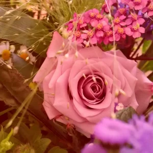 2016-07-09 22.04.44.jpg
