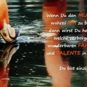Spruch.JPG