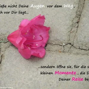 Augen.JPG