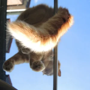 DSCN2098.JPG