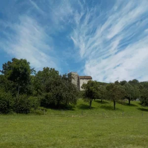 DSCN1655.JPG