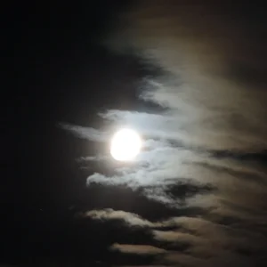 DSCN2201.JPG